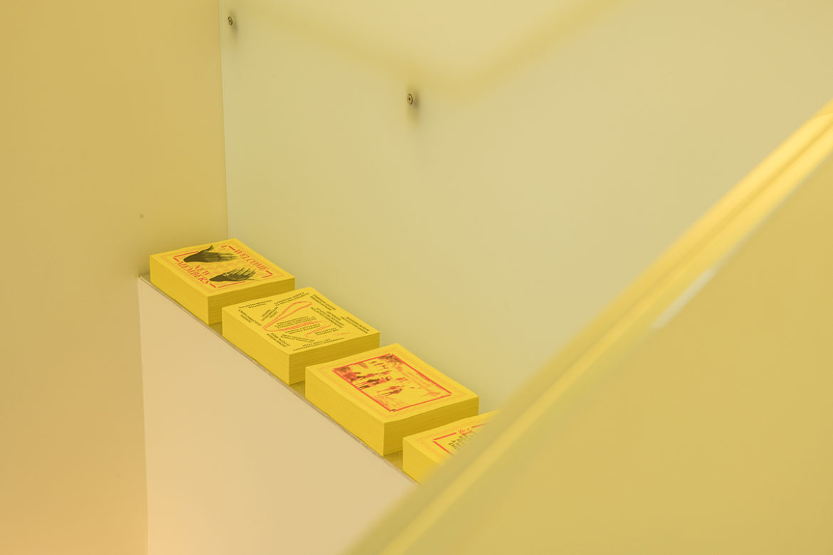 Installation Shot: Autumn Knight and Nontsikelelo Mutiti