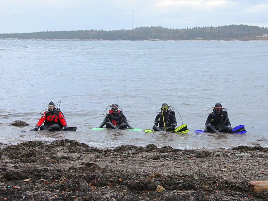 Land Dive Team: Bay of Fundy, 2016 [Video stills] Single-channel video projection with sound, edition of 3 Total running time: 7:08 minutes