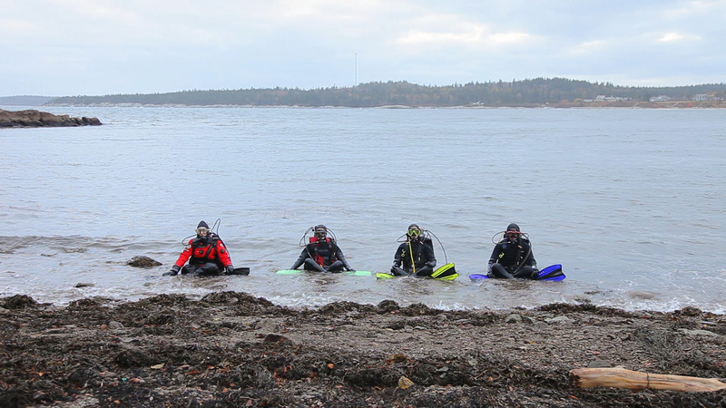 Hope Ginsburg, Land Dive Team: Bay of Fundy (video still). Courtesy of the artist.
