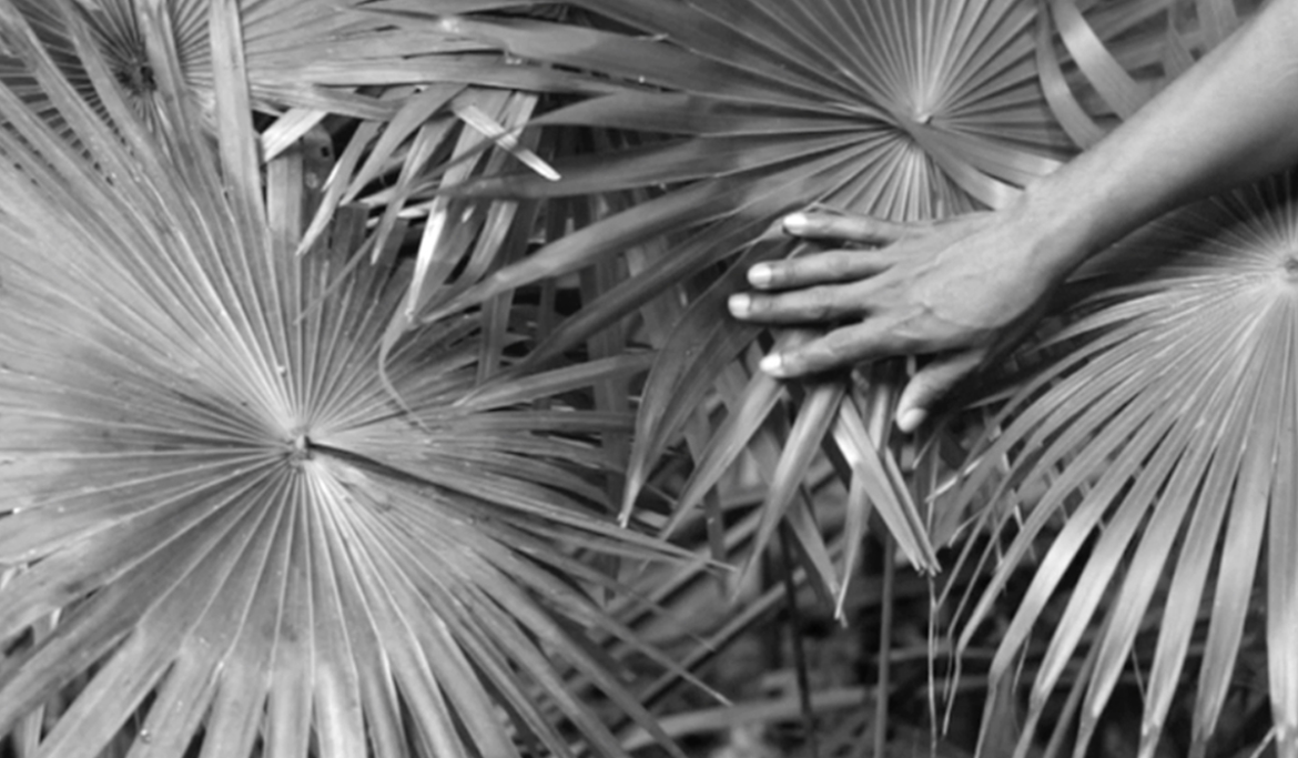 Jonathas de Andrade, Still from O Caseiro (The Housekeeper), 2016. Image courtesy of the artist.