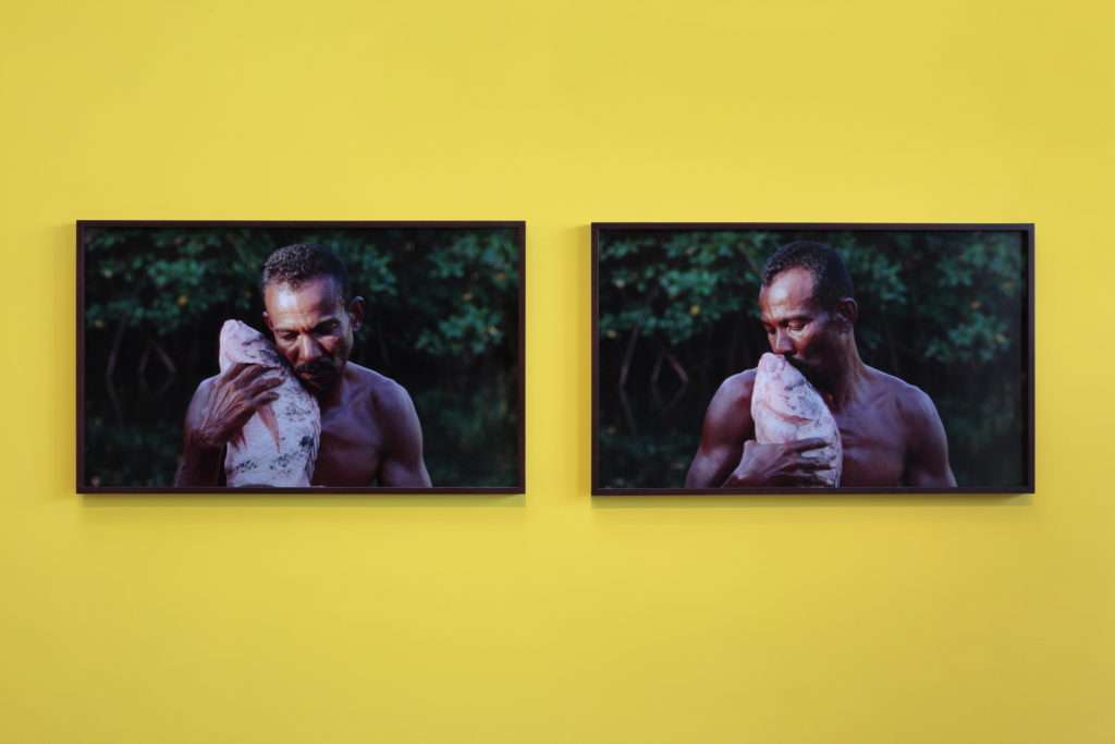 Two photos of stills from Jonathas de Andrade's film "O Peixe." A man hugs and kisses a fish.