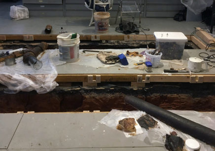 The trenches beneath Corin Hewitt's home, progress shot.