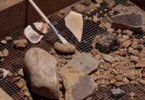 Shards of pottery, shells, and dirt rest in a sifter