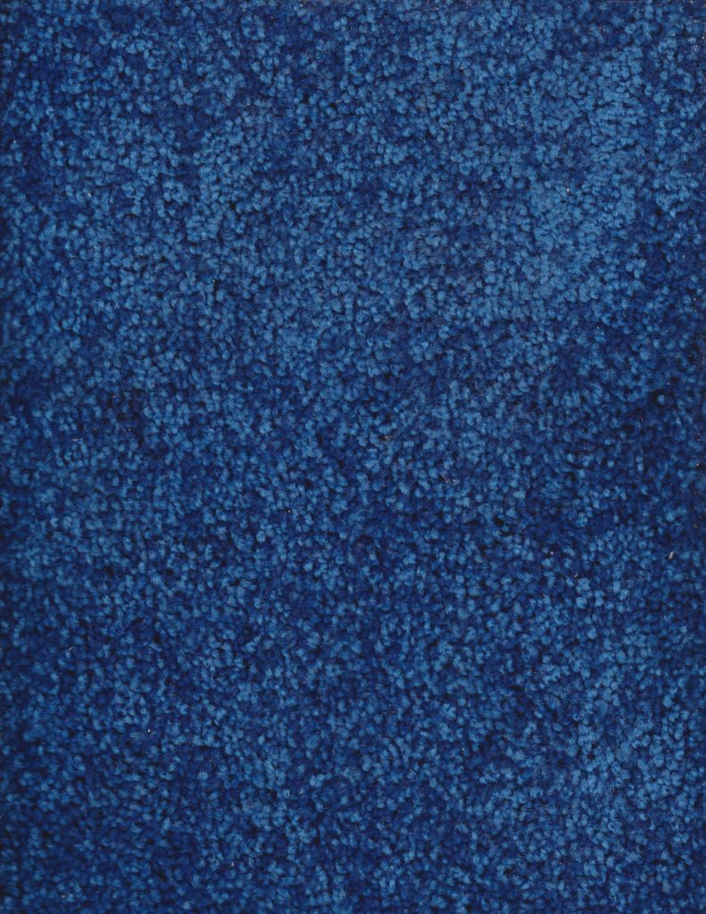 Corin Hewitt Blue Carpet