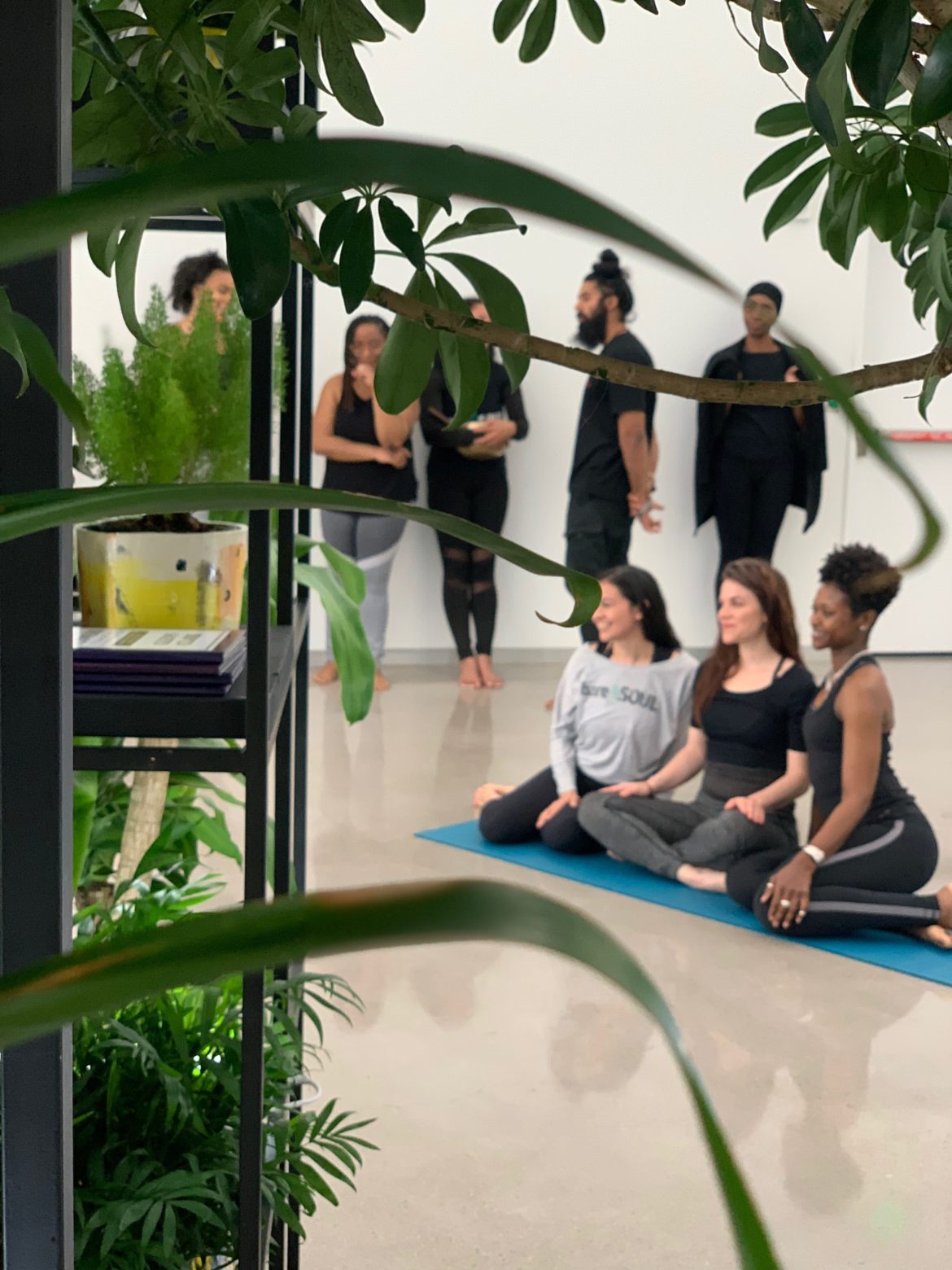 Mindfulness Summer 2019