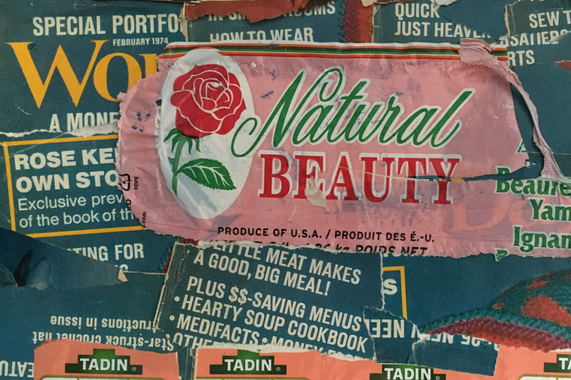 Scrap-paper collage by artist Anna Golden